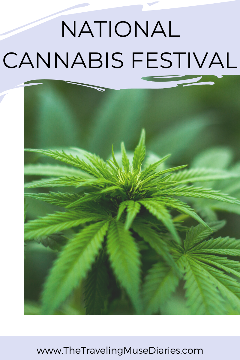 national-cannabis-festival-dc-2019