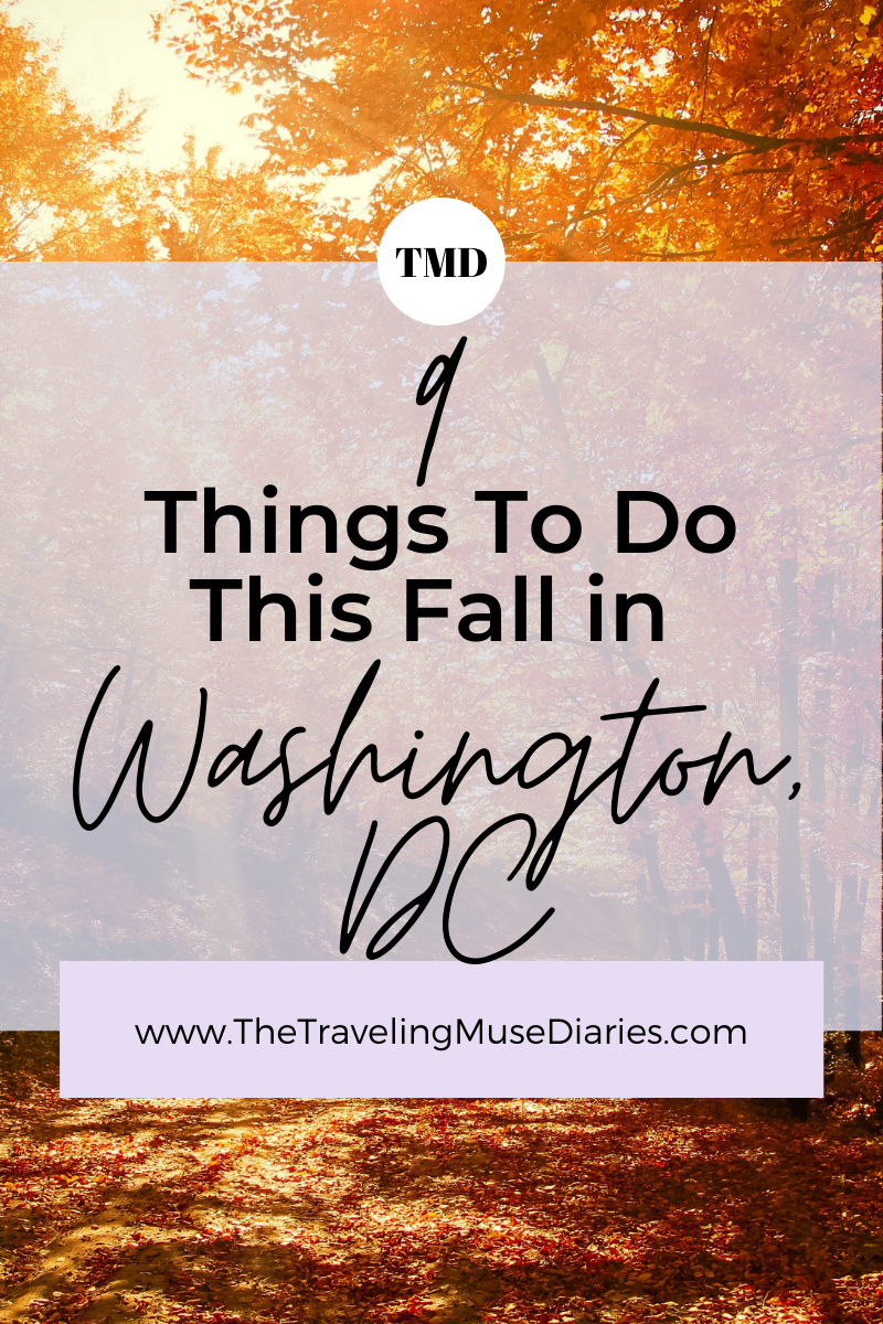 fall-in-dc