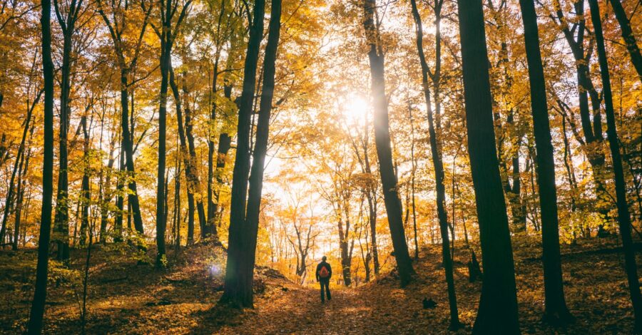 fall-in-dc-hiking