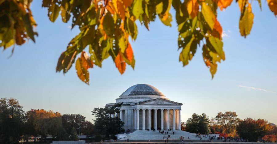 fall-in-dc